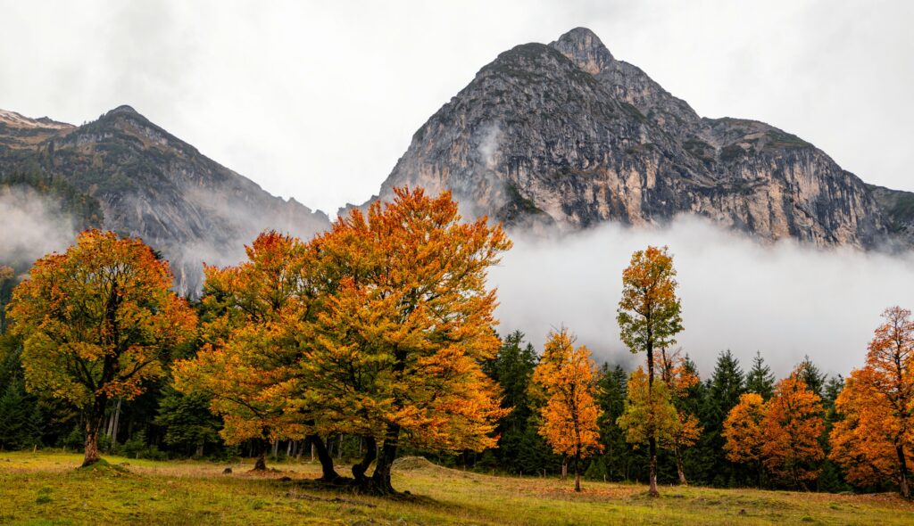 Ahornboden is an excellent place for quiet contemplation and discovery, where the wind whistles through old mountain maples. In autumn this majestic landscape shines in breathtaking manner in the most beautiful autumn colours.